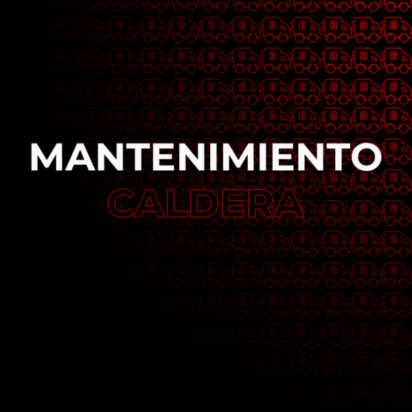 Mantenimiento Preventivo CALDERA